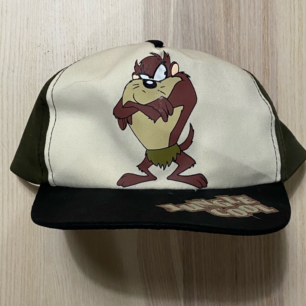 Vintage 1994 Looney Tunes Tasmanian Devil Snapback